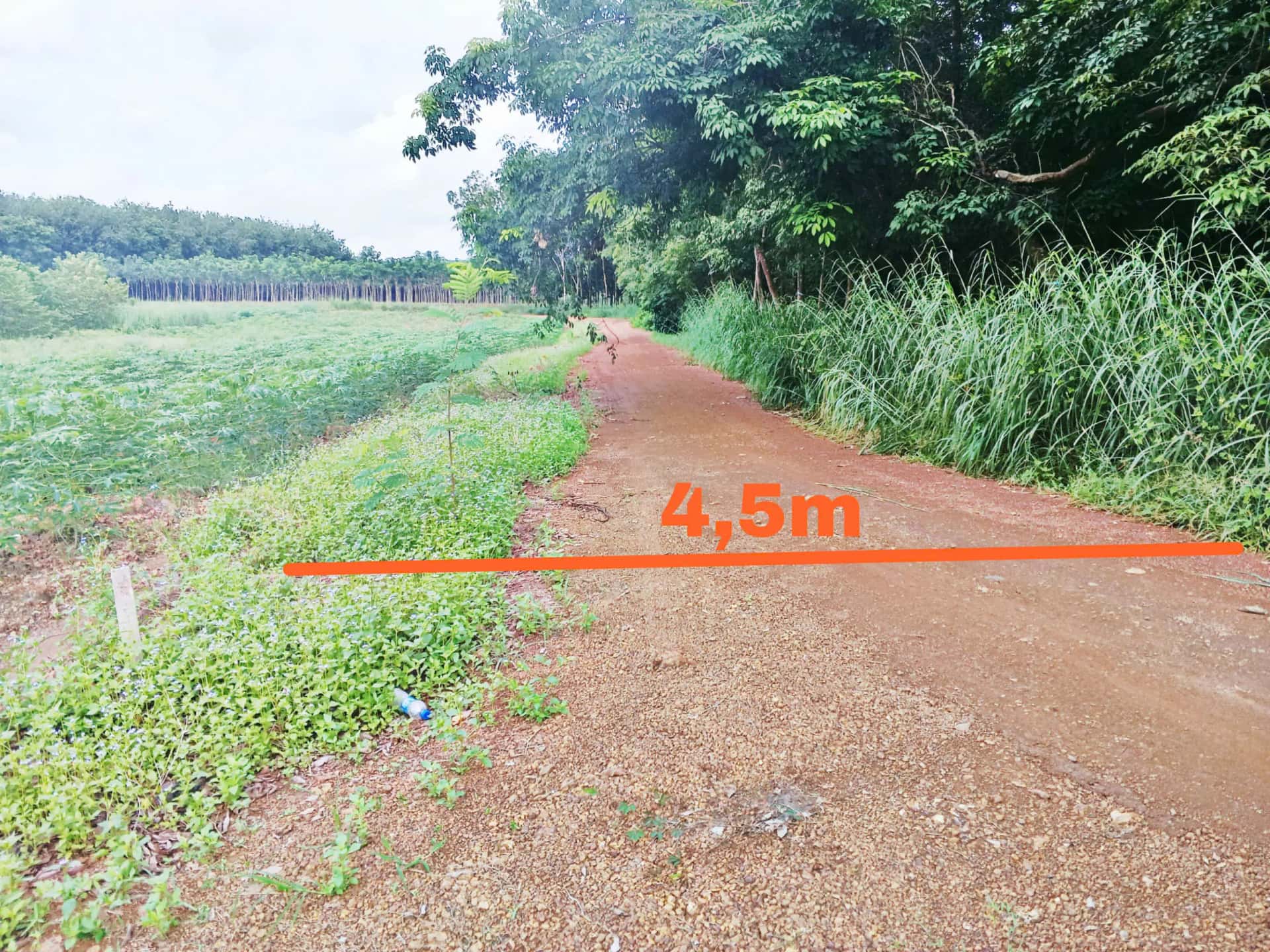 Bán đất Huyện Đồng Phú, Bình Phước – giá 1.3 tỷ — Hình 2 Bán đất Huyện Đồng Phú, Bình Phước – giá 1.3 tỷ — Hình 2
