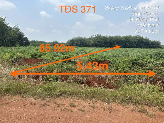 Bán đất Ấp Quân Y, xã Tân Lợi Huyện Đồng Phú, Bình Phước – giá 655 triệu Bán đất Ấp Quân Y, xã Tân Lợi Huyện Đồng Phú, Bình Phước – giá 655 triệu