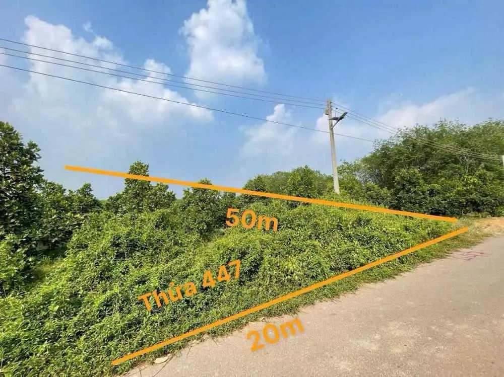 Bán đất Huyện Phú Giáo, Bình Dương – giá 1.3 tỷ Bán đất Huyện Phú Giáo, Bình Dương – giá 1.3 tỷ
