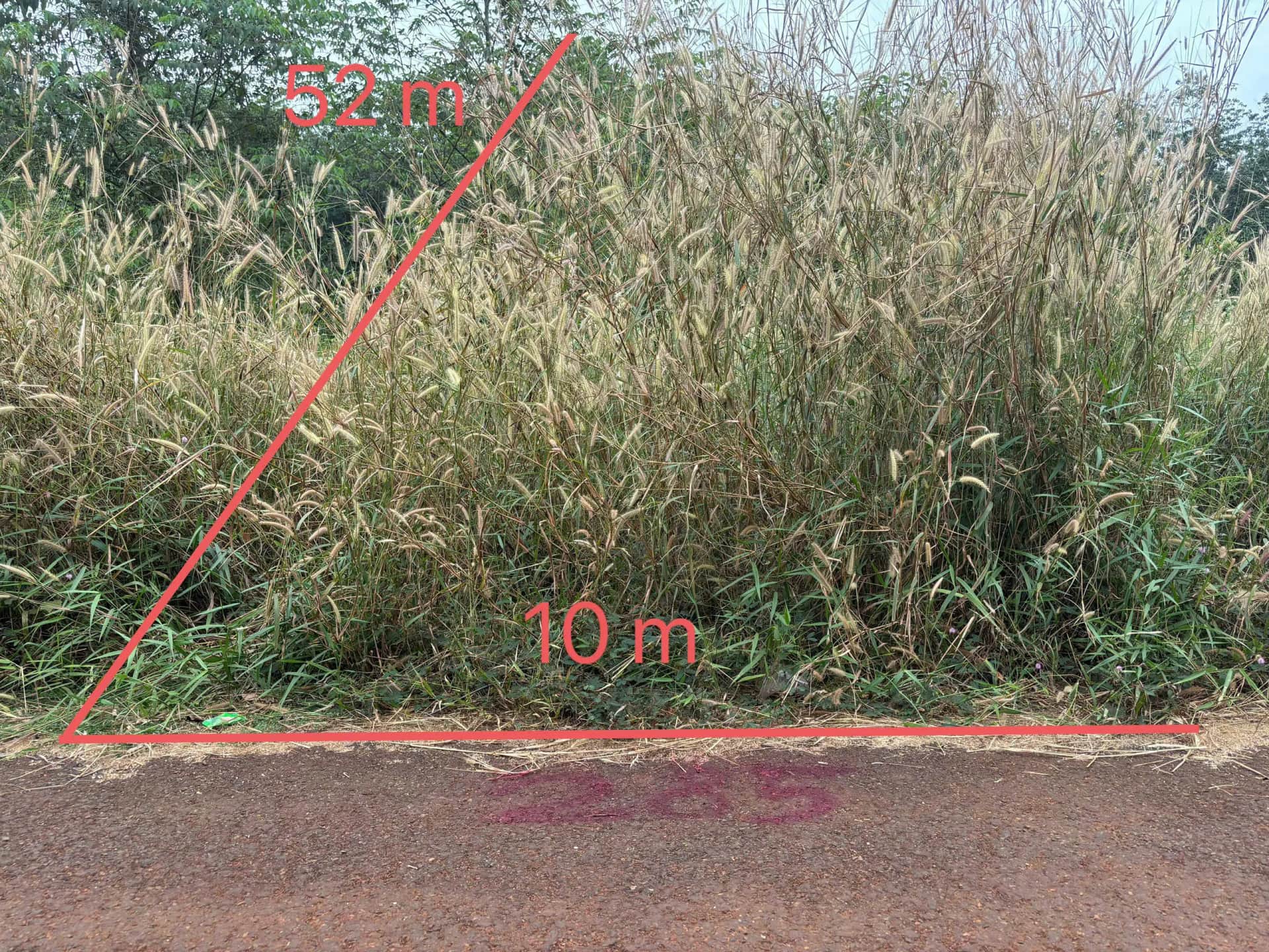 Bán đất Đồng Phú, Bình Phước – giá 310 triệu Bán đất Đồng Phú, Bình Phước – giá 310 triệu
