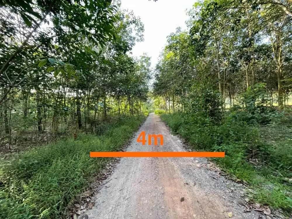 Bán đất Huyện Chơn Thành, Bình Phước – giá 607.5 triệu — Hình 3 Bán đất Huyện Chơn Thành, Bình Phước – giá 607.5 triệu — Hình 3