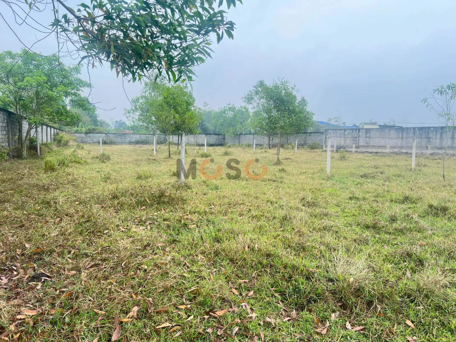 Bán đất Thửa 527 - Tờ 26, Đường Cây Trôm Mỹ Khánh Huyện Củ Chi, TP.HCM – giá 1.7 tỷ — Hình 3