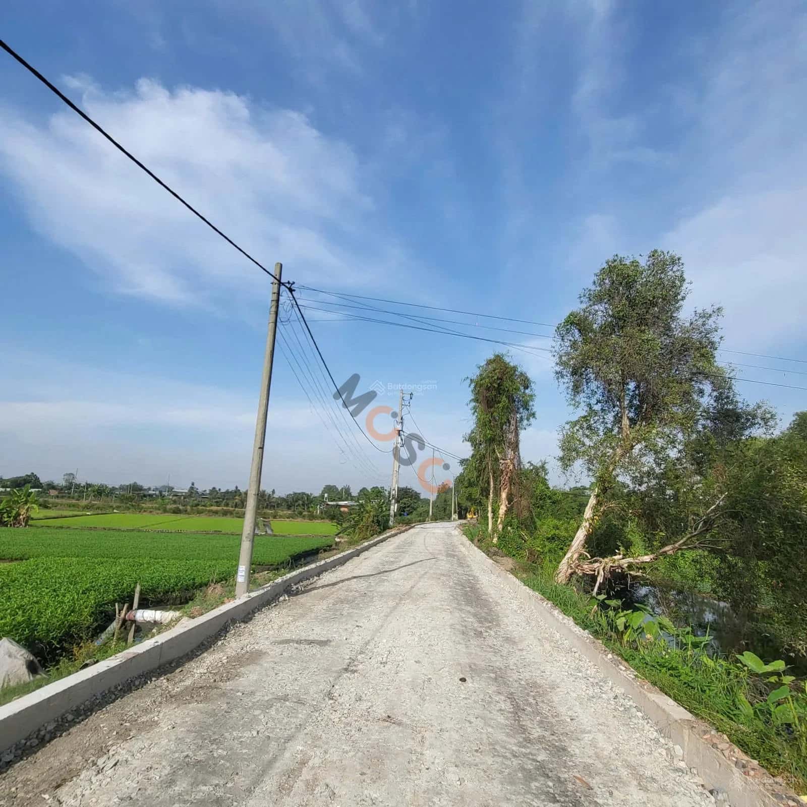 Bán đất Thửa 645 - tờ 70, đường Đông Thạnh 7 Huyện Hóc Môn, TP.HCM – giá 6.4 tỷ — Hình 3