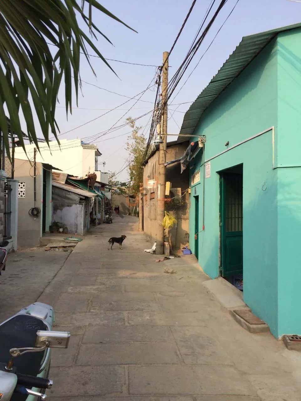 Cho thuê BĐS khác Đường Nguyễn Văn Tạo Huyện Nhà Bè, TP.HCM – giá 1.8 triệu Cho thuê BĐS khác Đường Nguyễn Văn Tạo Huyện Nhà Bè, TP.HCM – giá 1.8 triệu