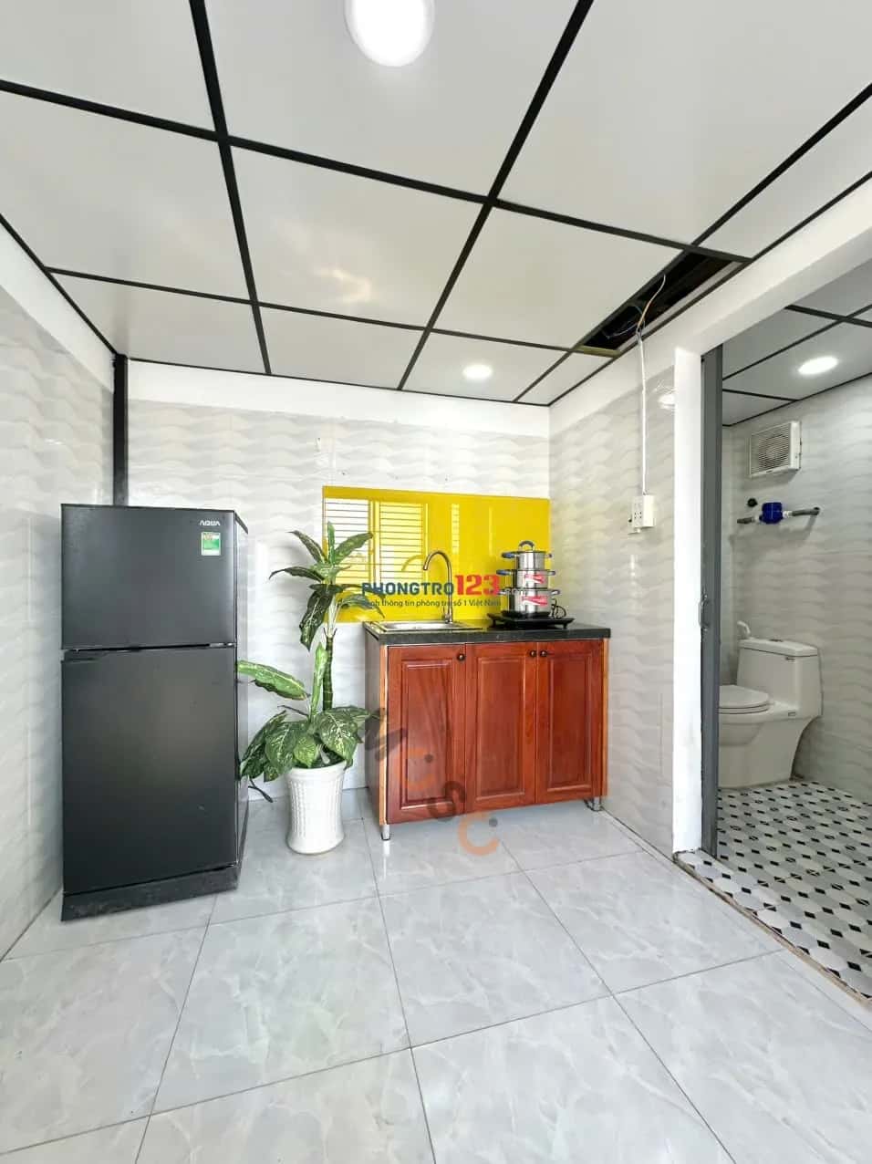 Cho thuê BĐS khác Phố Lý Thường Kiệt Quận 11, TP.HCM – giá 5.1 triệu — Hình 2