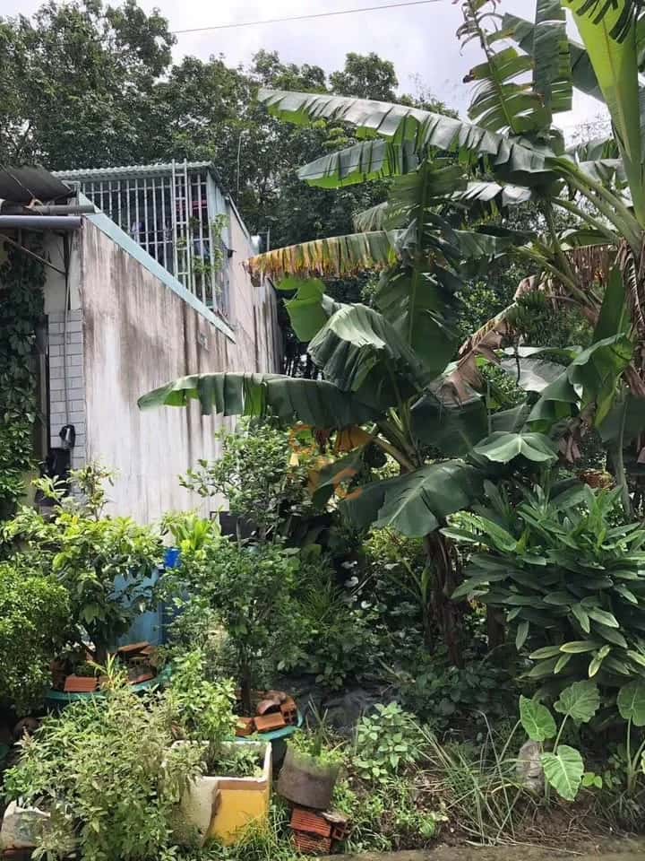 Bán đất Thửa 2940 - Tờ 51, đường ĐX 132 Thành phố Thủ Dầu Một, Bình Dương – giá 1.4 tỷ