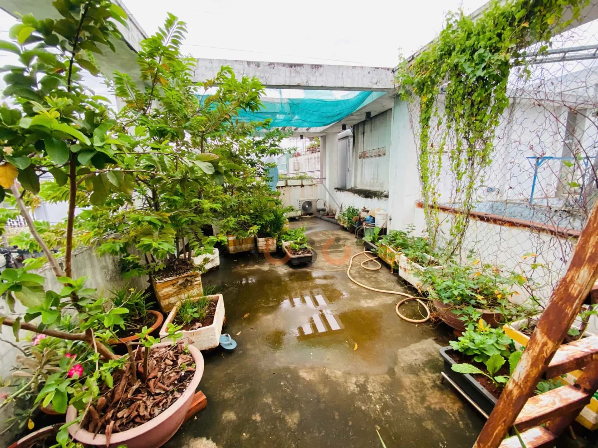Bán nhà mặt tiền Trần Thị Điệu Thành phố Thủ Đức, TP.HCM – 3 phòng ngủ, giá 10.3 tỷ - ảnh 6
