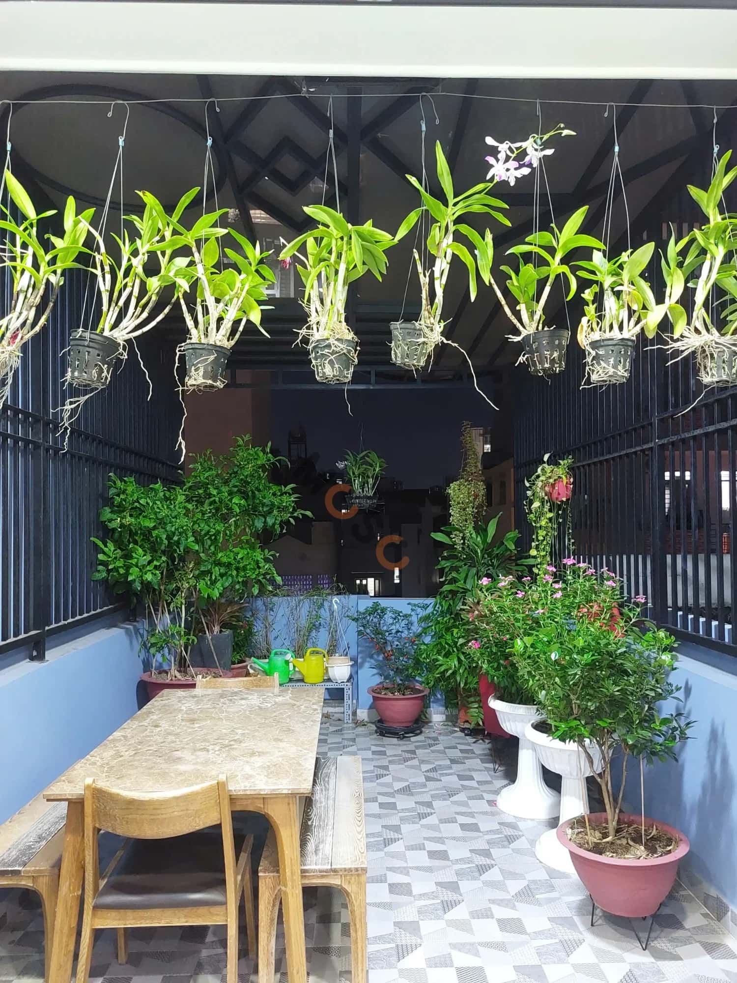 Bán nhà hẻm Đường Thành Thái Quận 10, TP.HCM – 5 phòng ngủ, giá 15.5 tỷ - ảnh 10