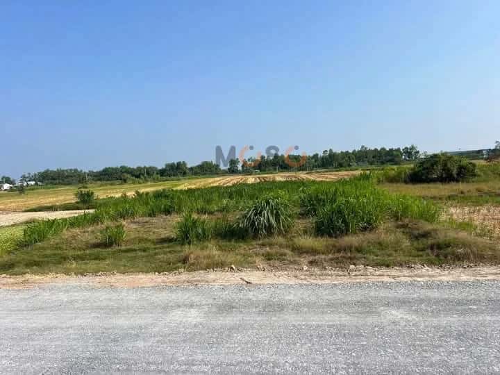 Bán đất Thửa 518 - Tờ 39 ấp Thanh Nhung 1 Huyện Gò Công Đông, Tiền Giang – giá 500 triệu Bán đất Thửa 518 - Tờ 39 ấp Thanh Nhung 1 Huyện Gò Công Đông, Tiền Giang – giá 500 triệu
