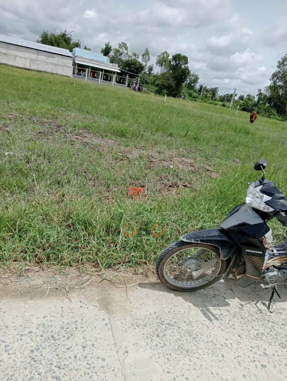 Bán đất Thửa 1056 - Tờ 26 ấp Muôn Nghiệp Thành phố Gò Công, Tiền Giang – giá 490 triệu