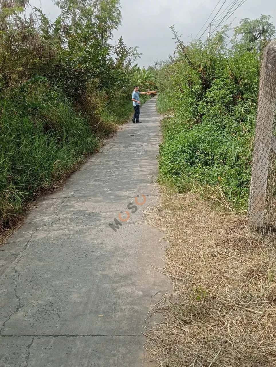 Bán đất Thửa 769 - Tờ 07 ấp Hưng Thạnh Thành phố Gò Công, Tiền Giang – giá 490 triệu — Hình 3