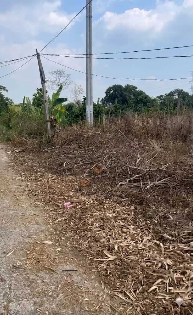Bán đất Thửa 182 - tờ 48 Thôn Đồng Giao Huyện Cư M'gar, Đắk Lắk – giá 520 triệu