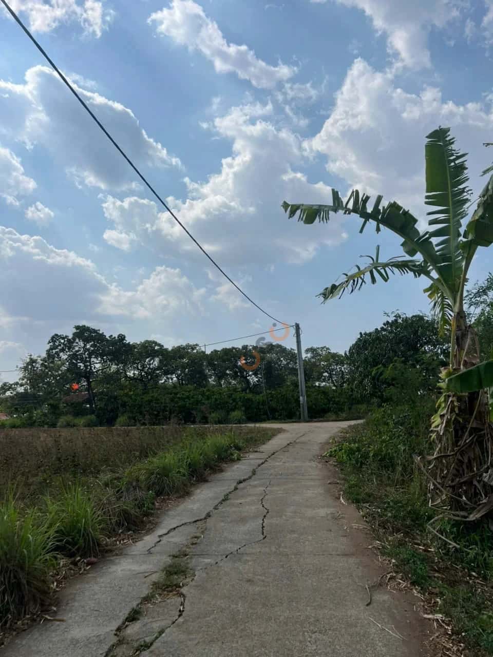 Bán đất Thửa 182 - tờ 48 Thôn Đồng Giao Huyện Cư M'gar, Đắk Lắk – giá 520 triệu — Hình 3