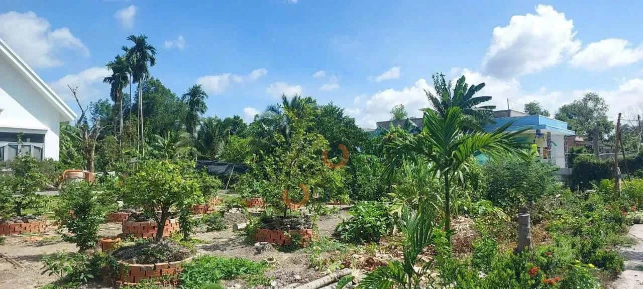 Bán đất Thửa 916 - tờ 19 ấp 3  Huyện Bến Lức, Long An – giá 1.4 tỷ