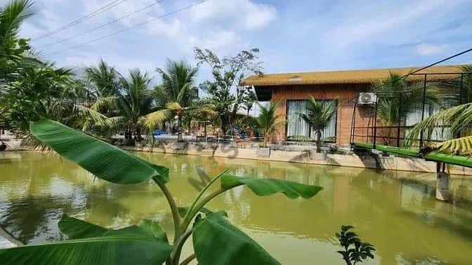 Cho thuê BĐS khác ĐT 825 Huyện Đức Hoà, Long An – giá 50 triệu — Hình 2