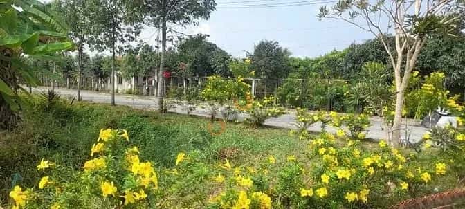 Cho thuê BĐS khác Quốc Lộ 50 Huyện Cần Giuộc, Long An – giá 700 triệu — Hình 3