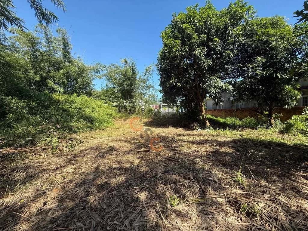 Bán đất đường số 39 Huyện Dương Minh Châu, Tây Ninh – giá 900 triệu Bán đất đường số 39 Huyện Dương Minh Châu, Tây Ninh – giá 900 triệu