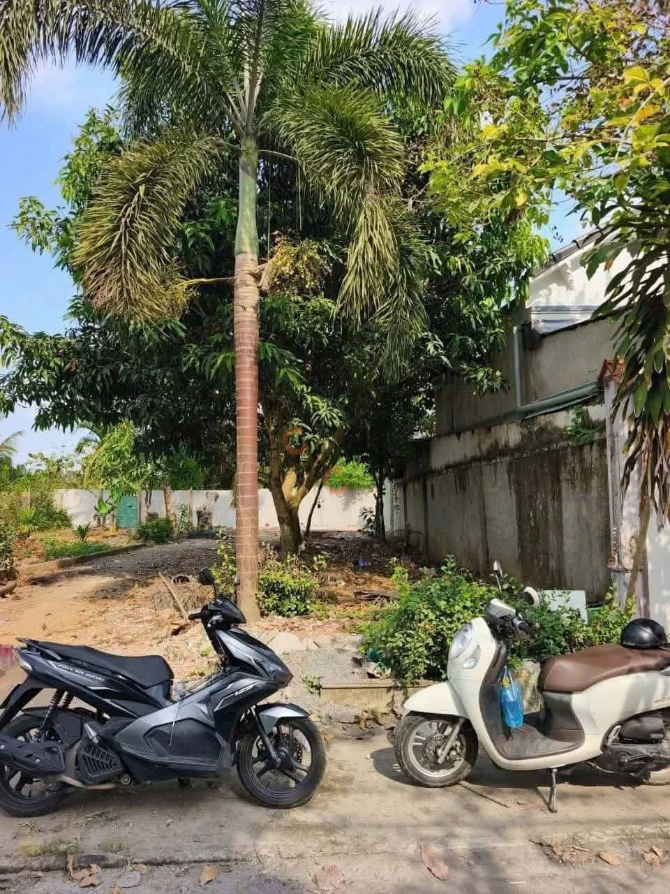 Bán đất Hẻm 2 Đường Bùi Hữu Nghĩa Quận Bình Thuỷ, TP. Cần Thơ – giá 1.9 tỷ Bán đất Hẻm 2 Đường Bùi Hữu Nghĩa Quận Bình Thuỷ, TP. Cần Thơ – giá 1.9 tỷ