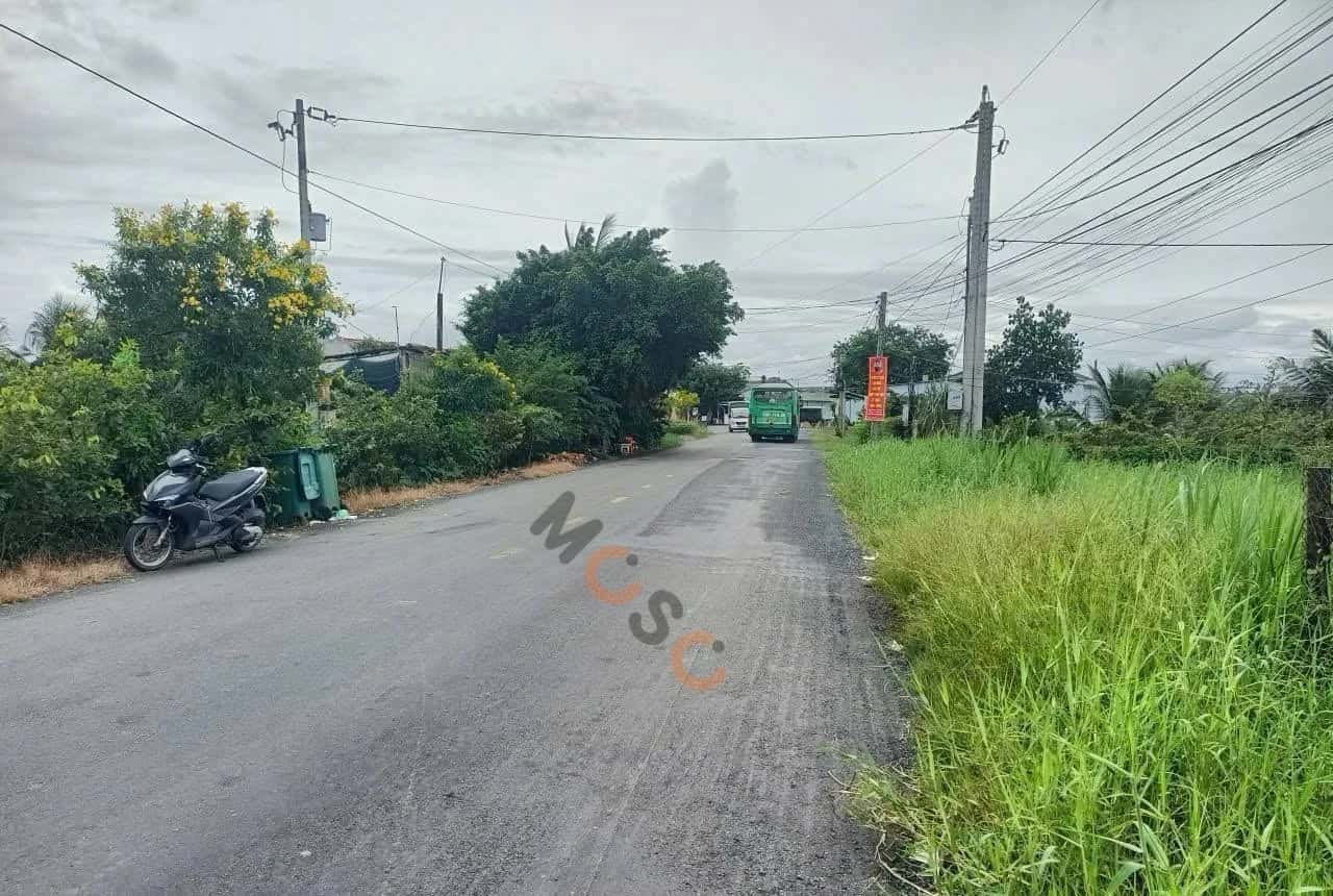 Bán đất đường Cao Thị Mai Huyện Tân Trụ, Long An – giá 1.4 tỷ — Hình 3