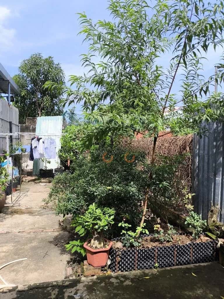 Bán đất đường 826C Huyện Cần Giuộc, Long An – giá 1.8 tỷ — Hình 2 Bán đất đường 826C Huyện Cần Giuộc, Long An – giá 1.8 tỷ — Hình 2
