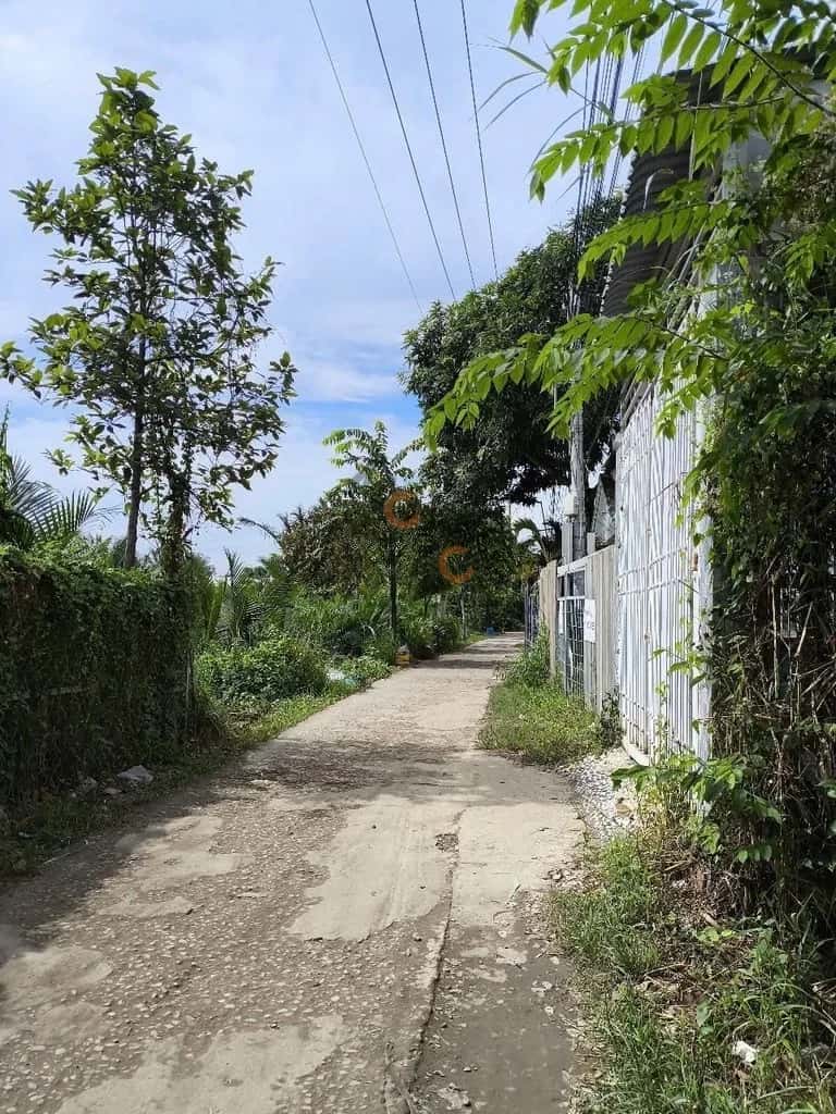 Bán đất đường 826C Huyện Cần Giuộc, Long An – giá 1.8 tỷ — Hình 3 Bán đất đường 826C Huyện Cần Giuộc, Long An – giá 1.8 tỷ — Hình 3
