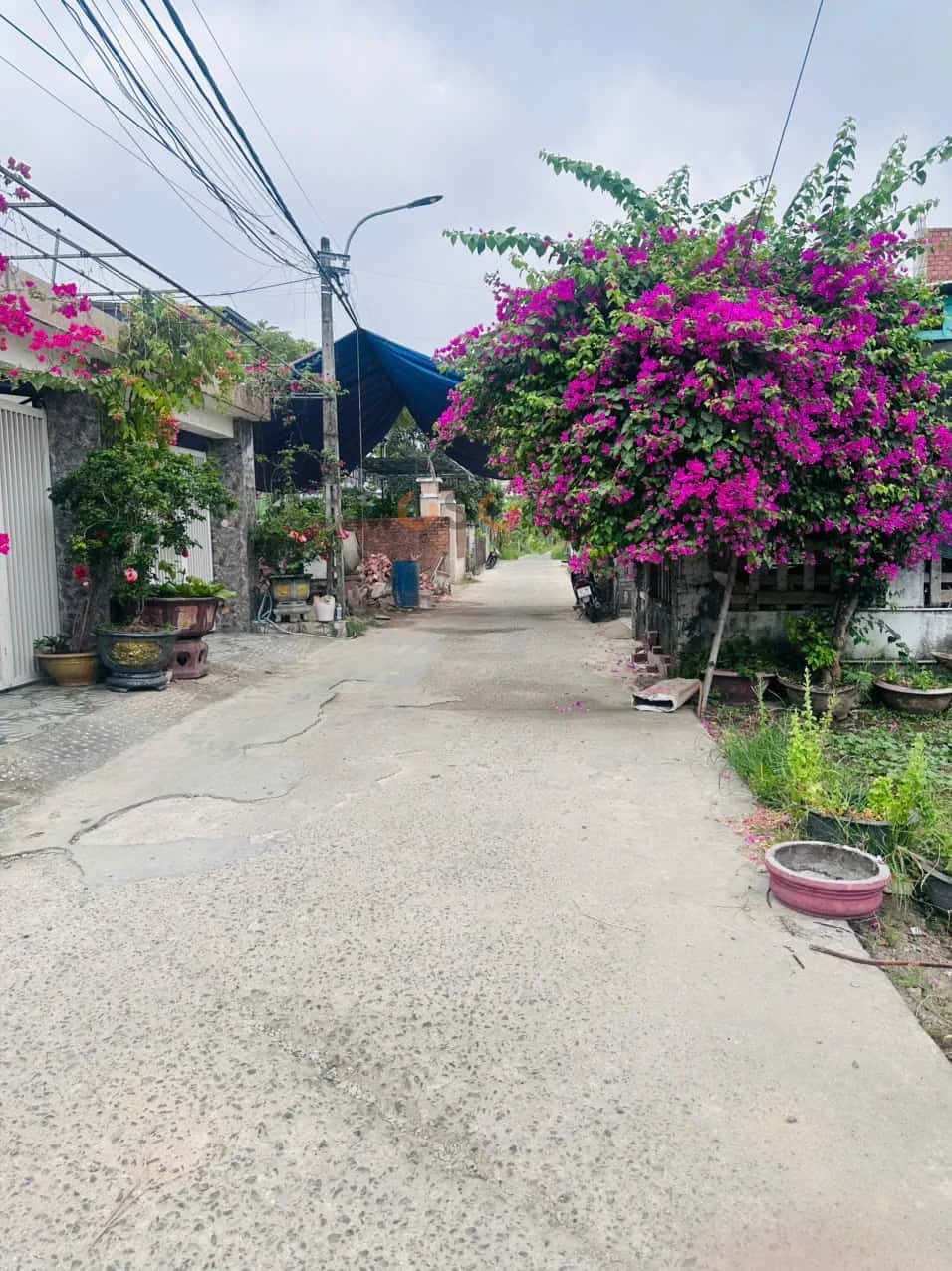 Bán đất Thôn Dương Lâm 2 Huyện Hòa Vang, TP. Đà Nẵng – giá 1.6 tỷ — Hình 3