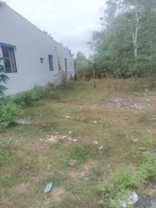 Bán đất đường Cây Thông Trong Thành phố Phú Quốc, Kiên Giang – giá 1.6 tỷ Bán đất đường Cây Thông Trong Thành phố Phú Quốc, Kiên Giang – giá 1.6 tỷ