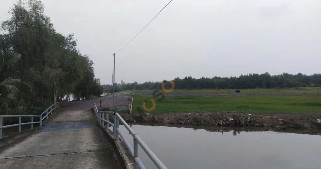 Bán đất hẻm số 9 đường Phạm Thái Bường Huyện Nhơn Trạch, Đồng Nai – giá 2.8 tỷ — Hình 3 Bán đất hẻm số 9 đường Phạm Thái Bường Huyện Nhơn Trạch, Đồng Nai – giá 2.8 tỷ — Hình 3