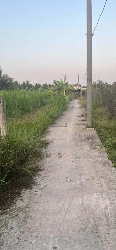 Bán đất hẻm đường Một Quang, Ấp Phước Thuận Thành phố Mỹ Tho, Tiền Giang – giá 620 triệu — Hình 2 Bán đất hẻm đường Một Quang, Ấp Phước Thuận Thành phố Mỹ Tho, Tiền Giang – giá 620 triệu — Hình 2