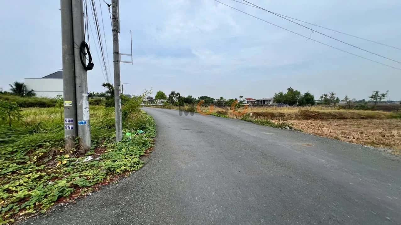 Bán đất đường liên xã Tân Trạch - Mỹ Lệ, Ấp Cầu Chùa Huyện Cần Đước, Long An – giá 1.4 tỷ — Hình 3 Bán đất đường liên xã Tân Trạch - Mỹ Lệ, Ấp Cầu Chùa Huyện Cần Đước, Long An – giá 1.4 tỷ — Hình 3