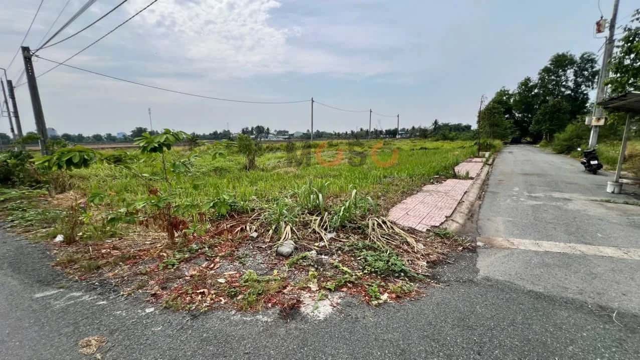 Bán đất đường liên xã Tân Trạch - Mỹ Lệ, Ấp Cầu Chùa Huyện Cần Đước, Long An – giá 1.4 tỷ Bán đất đường liên xã Tân Trạch - Mỹ Lệ, Ấp Cầu Chùa Huyện Cần Đước, Long An – giá 1.4 tỷ