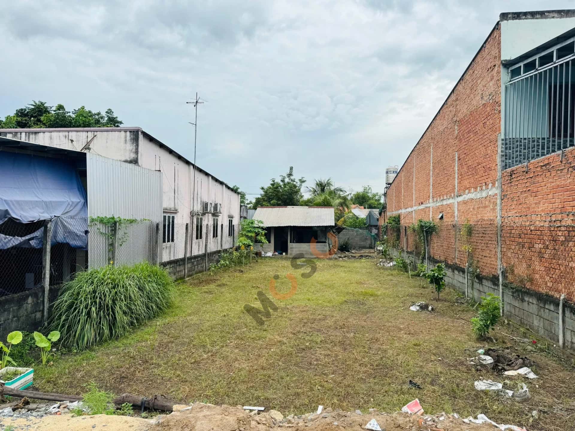 Bán đất đường số 97, Ấp Giồng Sao Huyện Củ Chi, TP.HCM – giá 6.5 tỷ — Hình 2