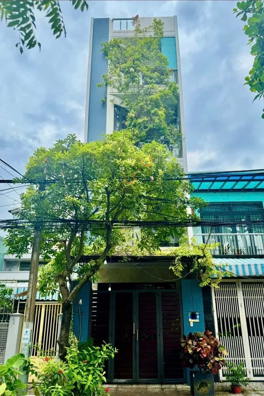 Bán nhà mặt tiền Đinh Công Tráng Quận Hải Châu, TP. Đà Nẵng – 4 phòng ngủ, giá 10.2 tỷ