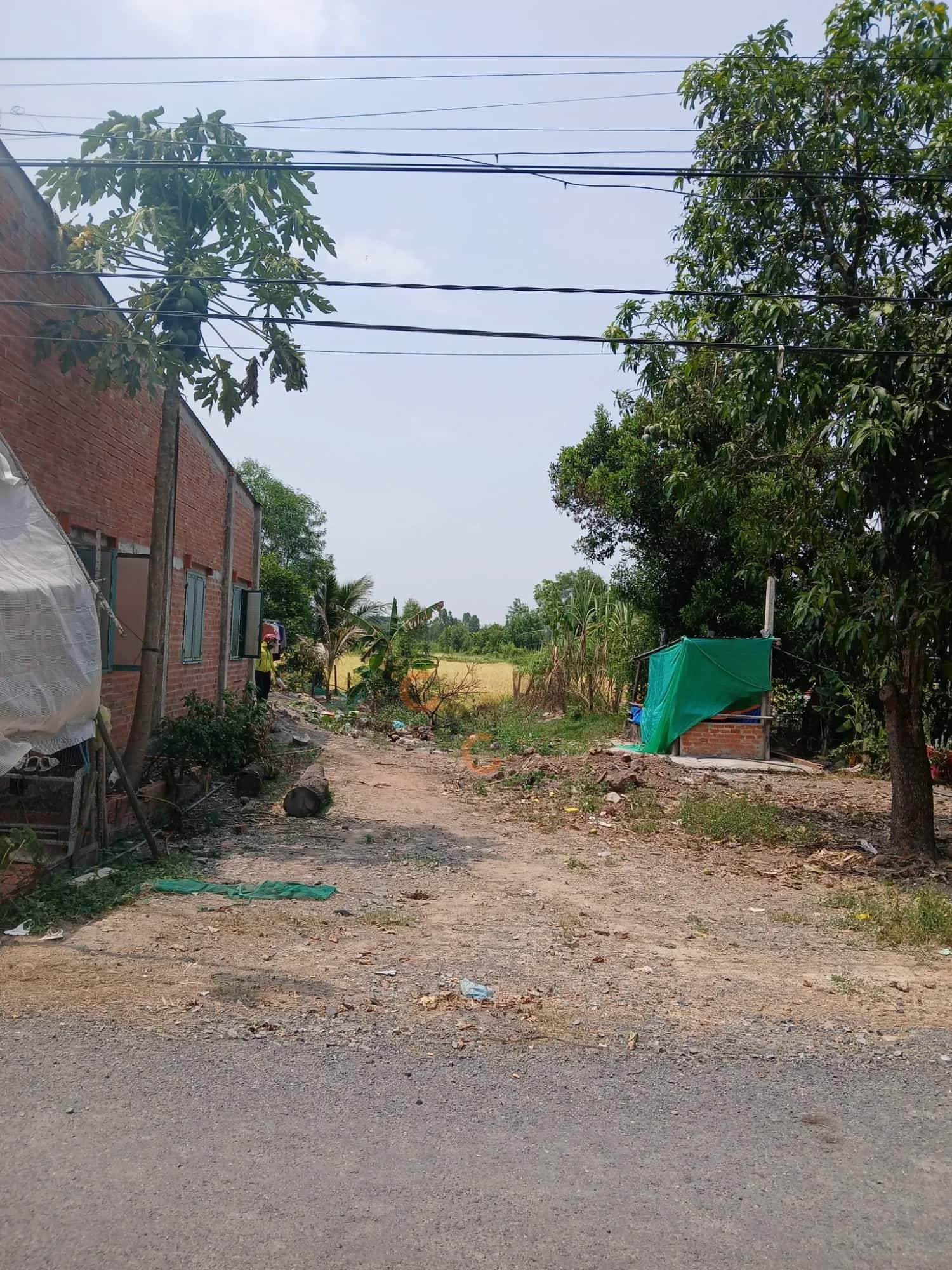 Bán đất Ấp 1 Huyện Đức Huệ, Long An – giá 950 triệu — Hình 2