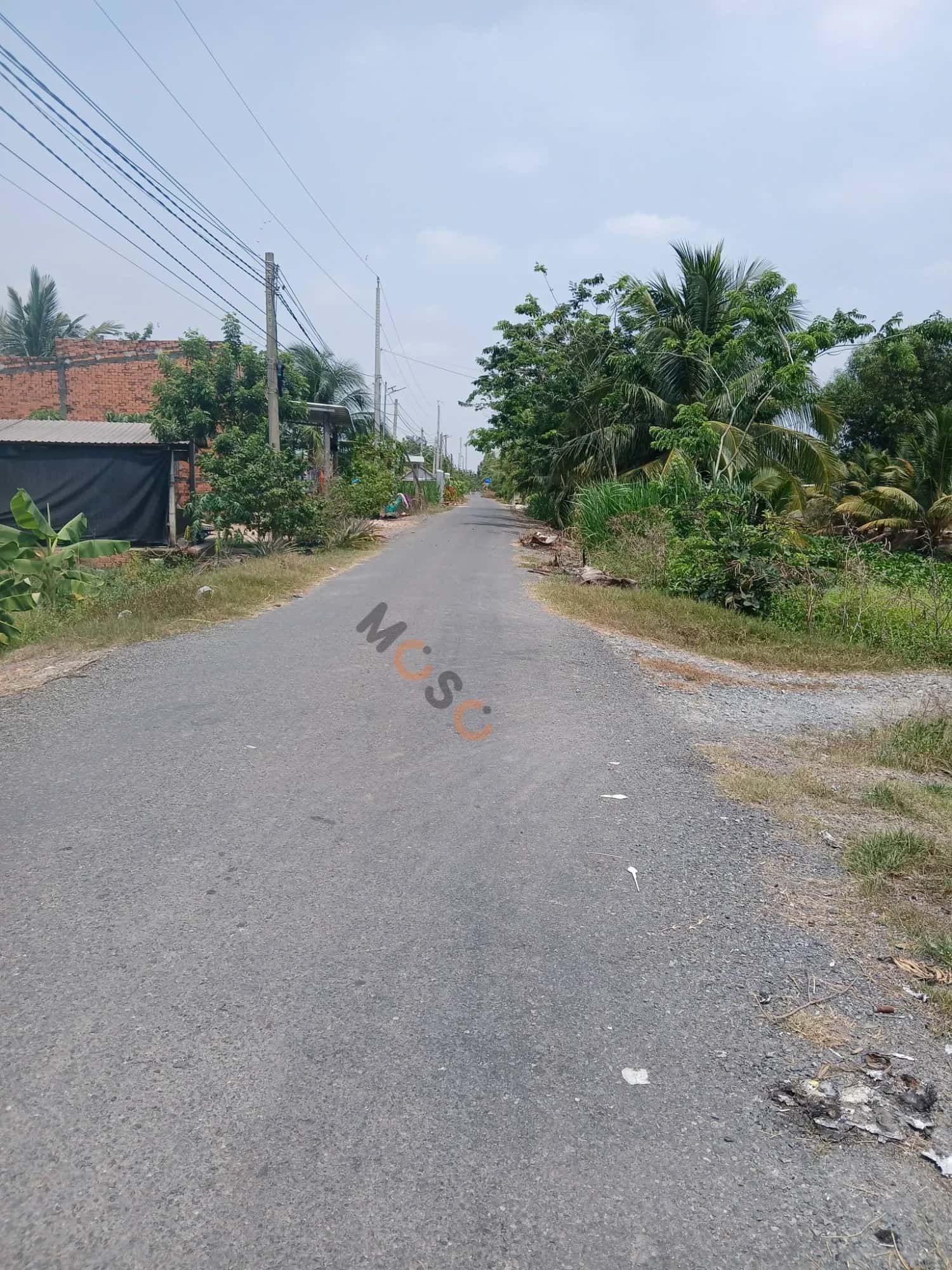 Bán đất Ấp 1 Huyện Đức Huệ, Long An – giá 950 triệu — Hình 3