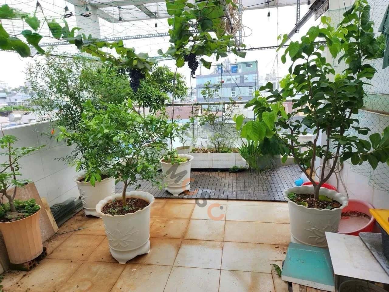 Bán nhà hẻm Thái Phiên  Quận 11, TP.HCM – 10 phòng ngủ, giá 11 tỷ - ảnh 6