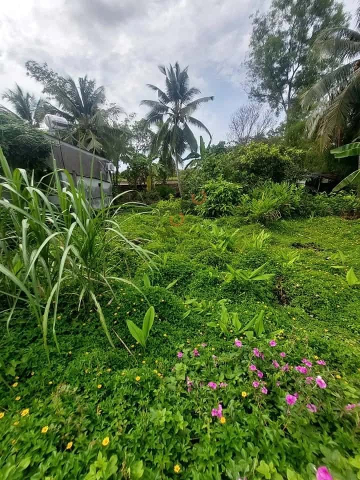 Bán đất Khu Vực Bình Yên B Quận Bình Thuỷ, TP. Cần Thơ – giá 980 triệu Bán đất Khu Vực Bình Yên B Quận Bình Thuỷ, TP. Cần Thơ – giá 980 triệu