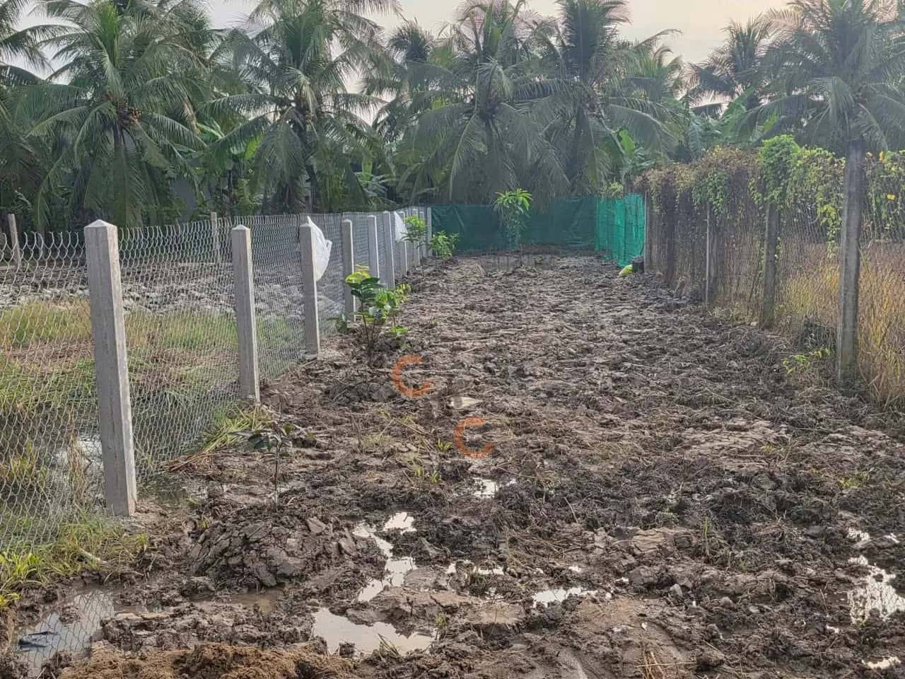 Bán đất Đường Nguyễn Văn Đặng ( Đình An Vĩnh ), Ấp Long Thạnh Huyện Châu Thành, Tiền Giang – giá 550 triệu Bán đất Đường Nguyễn Văn Đặng ( Đình An Vĩnh ), Ấp Long Thạnh Huyện Châu Thành, Tiền Giang – giá 550 triệu