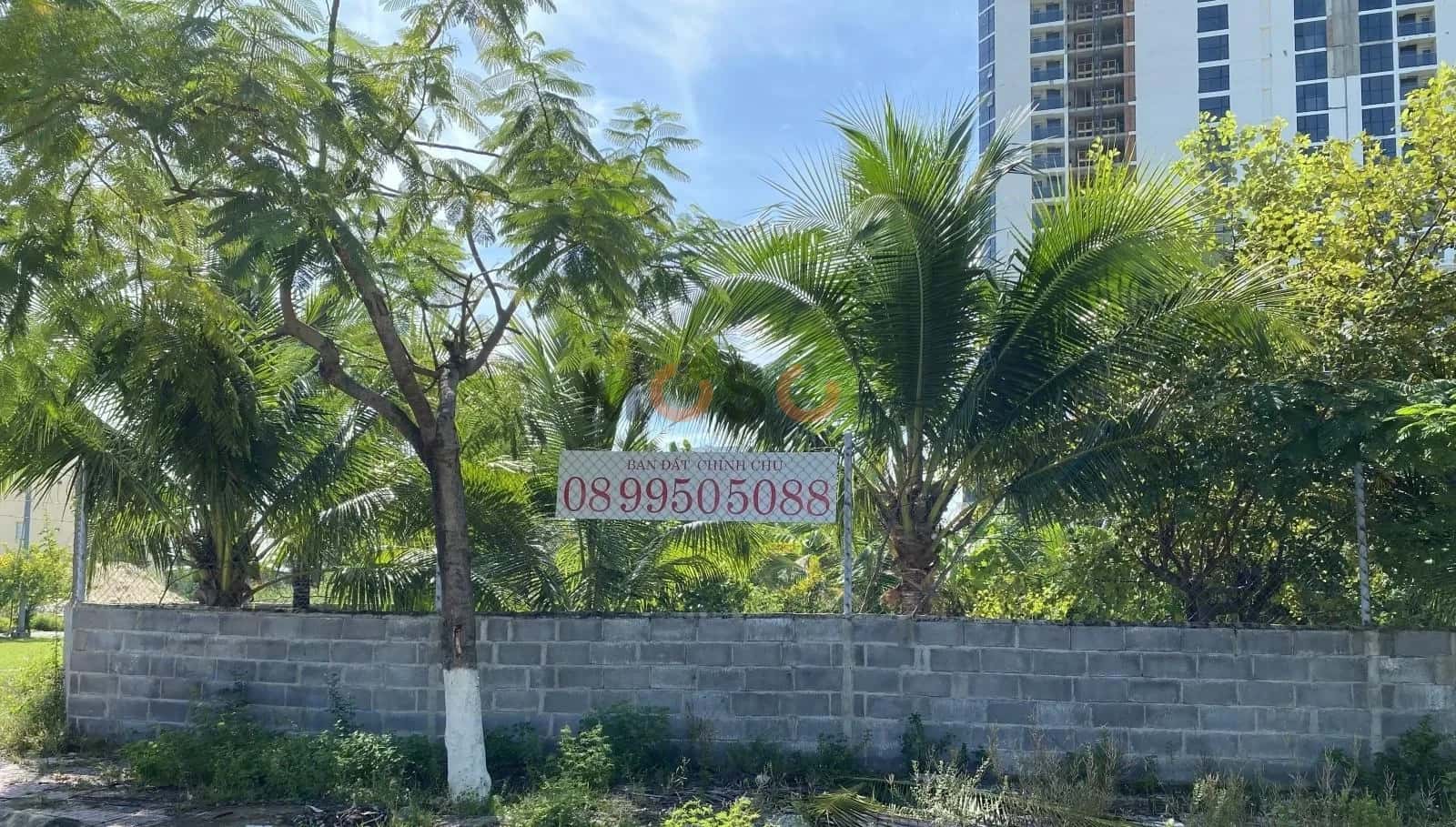 Bán đất Khu 10, Khu đô thị mới Vĩnh Hòa, đường số 26  Thành phố Nha Trang, Khánh Hòa – giá 20.6 tỷ - ảnh 1