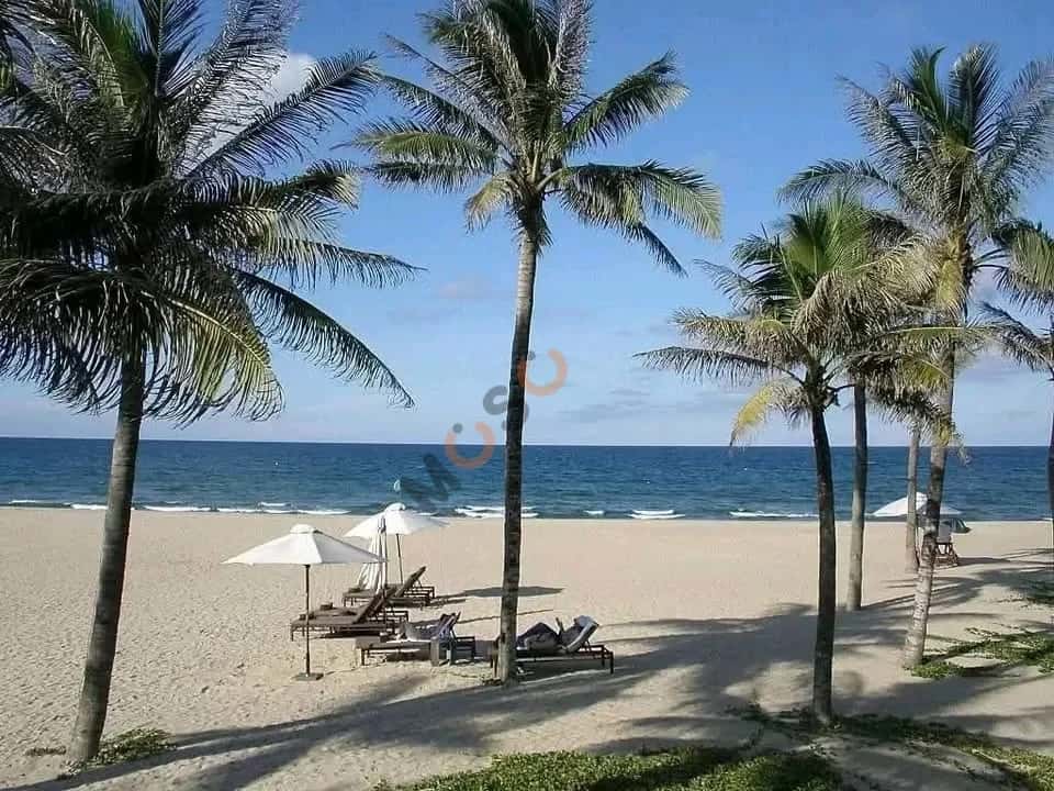 Bán đất Thôn Hà Quảng Tây Thị xã Điện Bàn, Quảng Nam – giá 1.2 tỷ — Hình 2 Bán đất Thôn Hà Quảng Tây Thị xã Điện Bàn, Quảng Nam – giá 1.2 tỷ — Hình 2