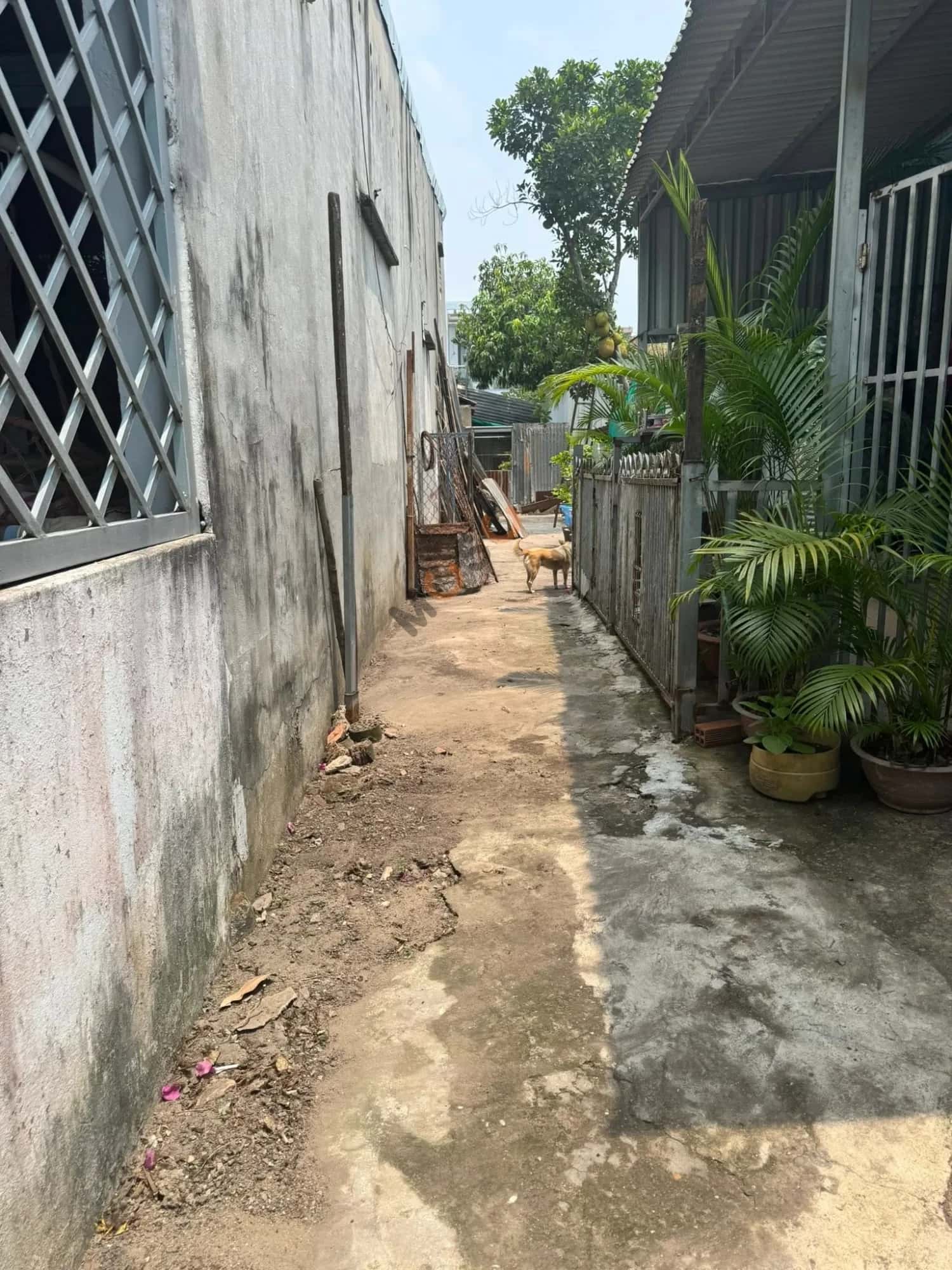 Bán đất Tân Hiệp 16 Huyện Hóc Môn, TP.HCM – giá 1.1 tỷ — Hình 2 Bán đất Tân Hiệp 16 Huyện Hóc Môn, TP.HCM – giá 1.1 tỷ — Hình 2