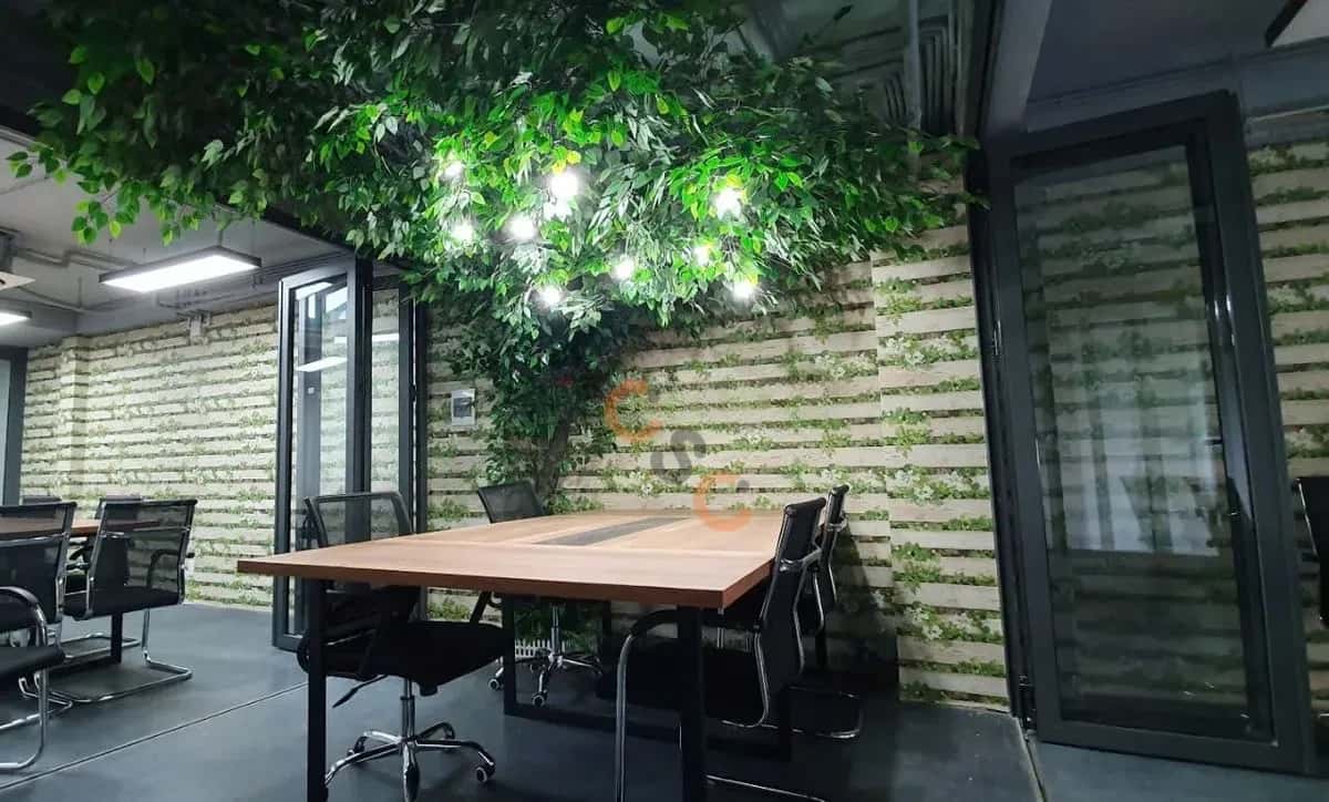 Cho thuê văn phòng Trần Khắc Chân Phú Nhuận, TP.HCM – 11 phòng ngủ, giá 150 triệu — Hình 2