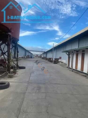 Cho thuê kho, nhà xưởng Quốc lộ 1A Huyện Trảng Bom, Đồng Nai – giá 225 triệu — Hình 3