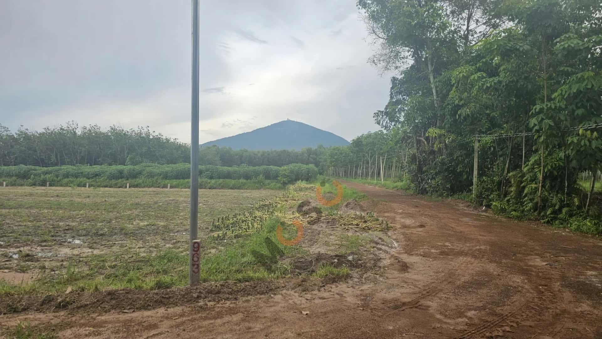 Bán đất Đường Bờ Nam Kênh Tây Thành phố Tây Ninh, Tây Ninh – giá 256 triệu - ảnh 2