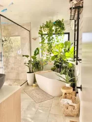 Cho thuê nhà hẻm Lưu Khánh Đàm Long Biên, Hà Nội – giá 45 triệu Cho thuê nhà hẻm Lưu Khánh Đàm Long Biên, Hà Nội – giá 45 triệu