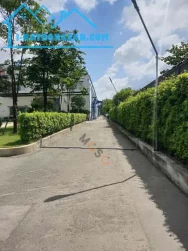 Cho thuê kho, nhà xưởng Tỉnh lộ 825 Huyện Đức Hòa, Long An – giá 36 triệu — Hình 3