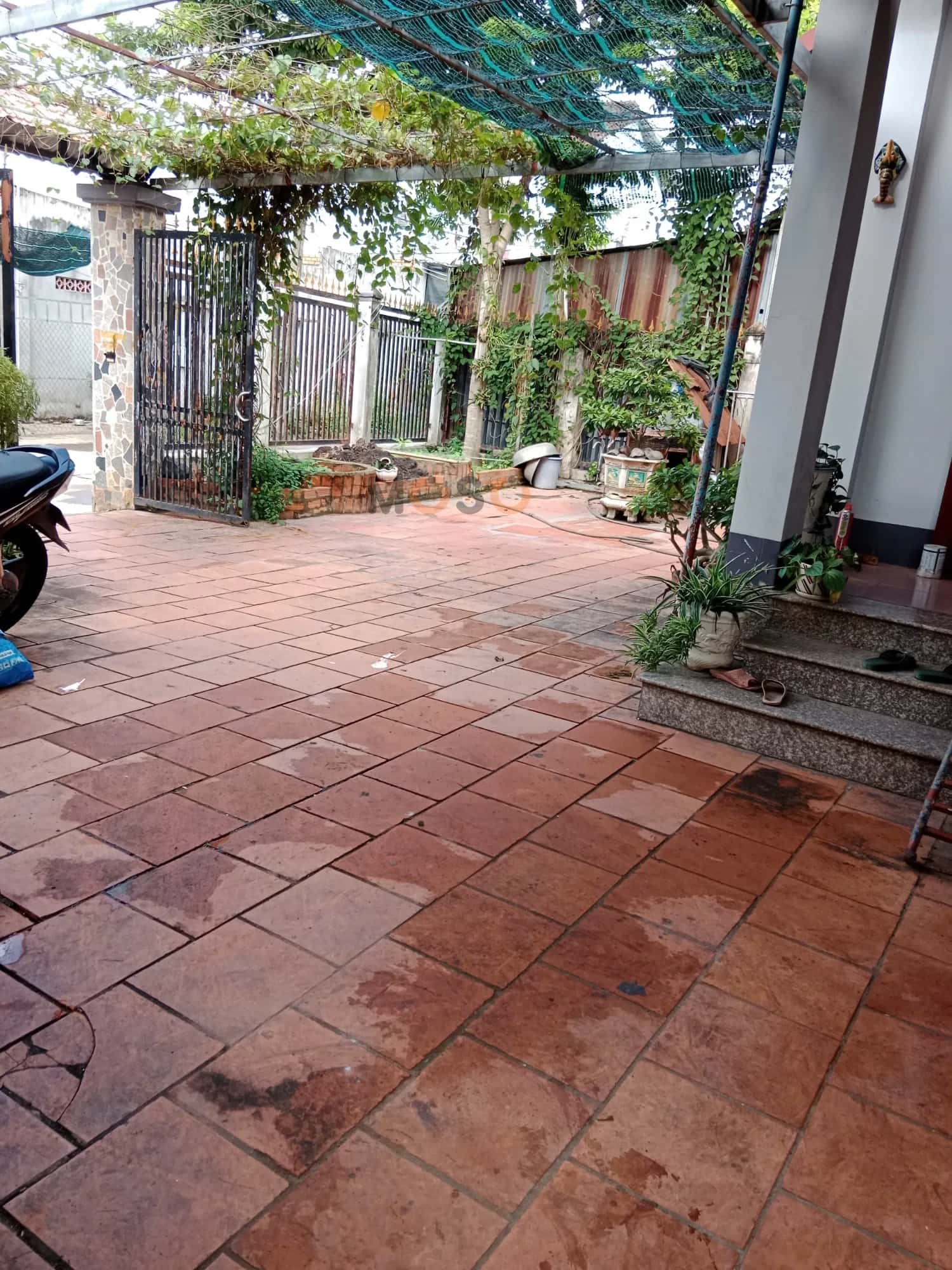 Bán nhà hẻm hẻm 59 đường Cách Mạng Tháng Tám Thành phố Tây Ninh, Tây Ninh – 3 phòng ngủ, giá 3.3 tỷ - ảnh 4