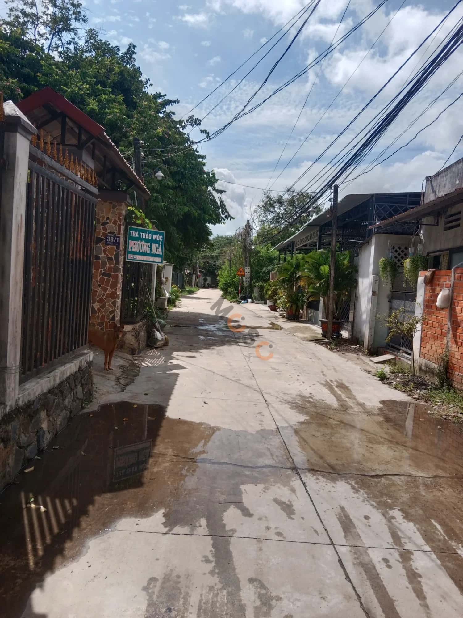 Bán nhà hẻm hẻm 59 đường Cách Mạng Tháng Tám Thành phố Tây Ninh, Tây Ninh – 3 phòng ngủ, giá 3.3 tỷ - ảnh 14