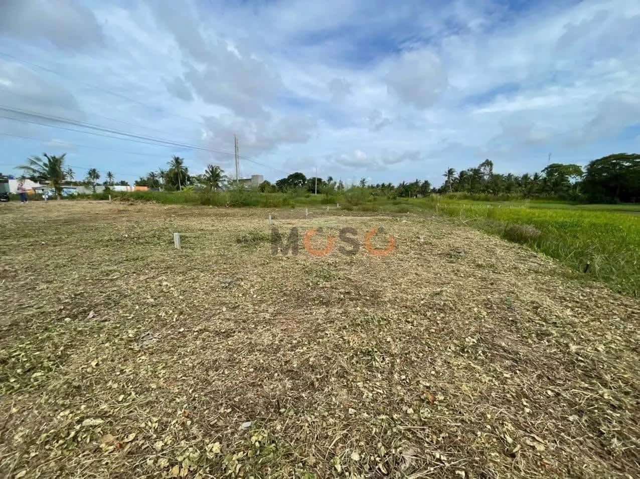 Bán đất Kênh 7 Huyện Châu Thành, Kiên Giang – giá 590 triệu — Hình 2