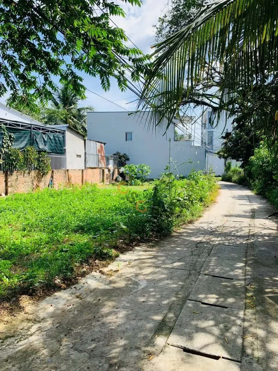 Bán đất Thôn Đông Thành phố Nha Trang, Khánh Hòa – giá 1.8 tỷ - ảnh 2